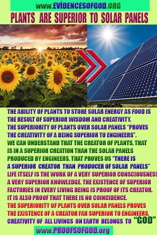 plants are superior than solar panels god's proofs