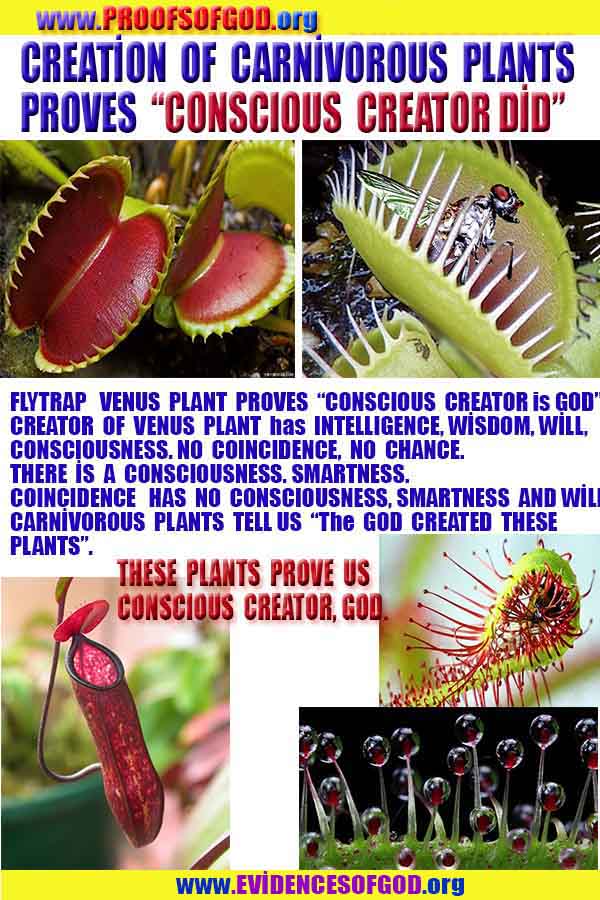 proofs of god, evidences of god, god-proofs, god-signs, god-evidences, god exists,  god is real