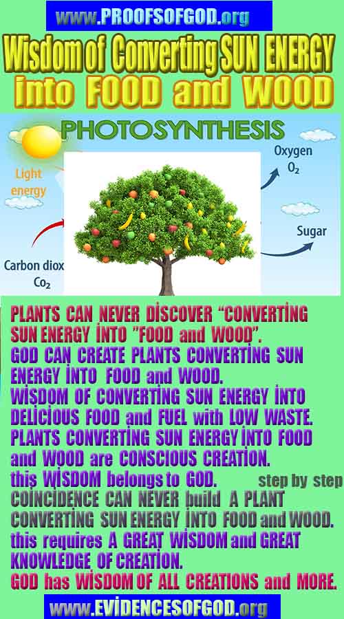 proofs of god, evidences of god,  god is real  