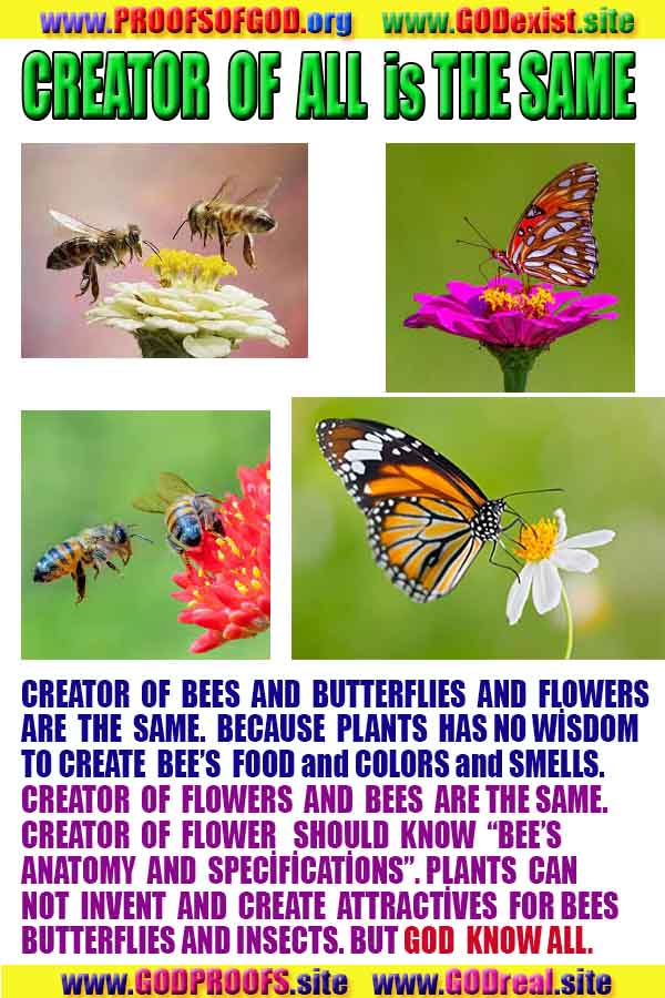 evidences of god, god is real 