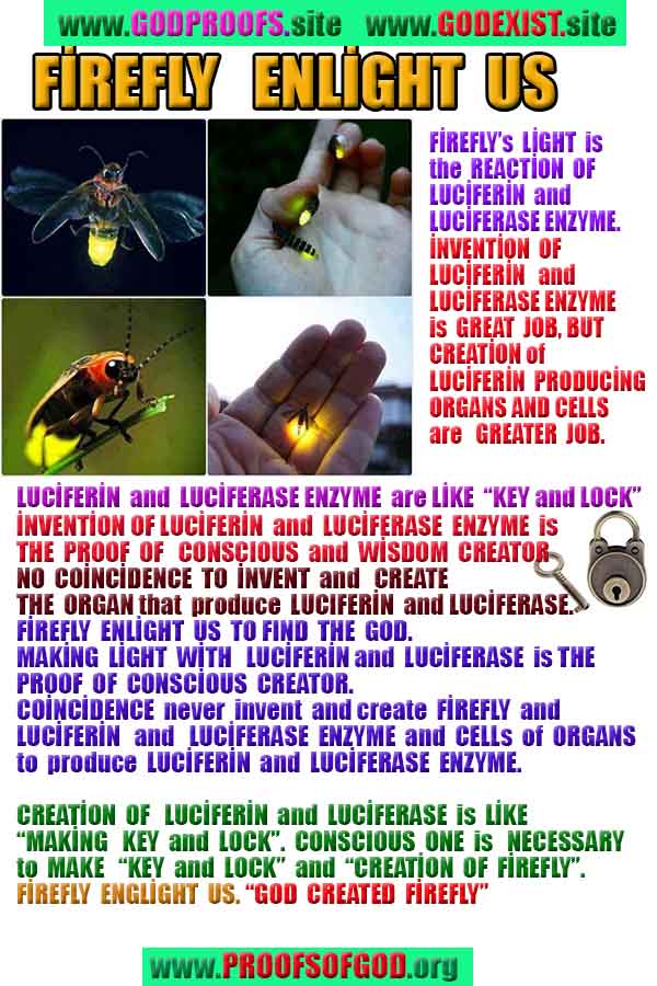 proofs of god, evidences of god, god-proofs, god-signs, god-evidences  
