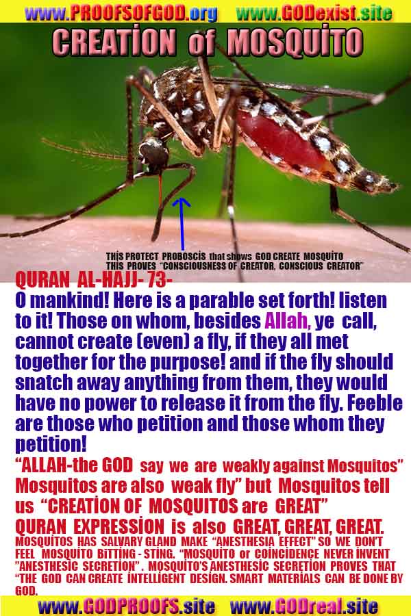 proofs of god, evidences   