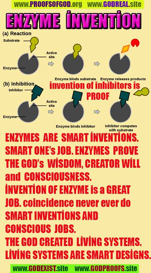   evidences of god  