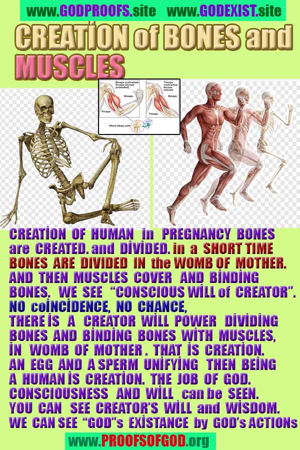 proofs of god, evidences   